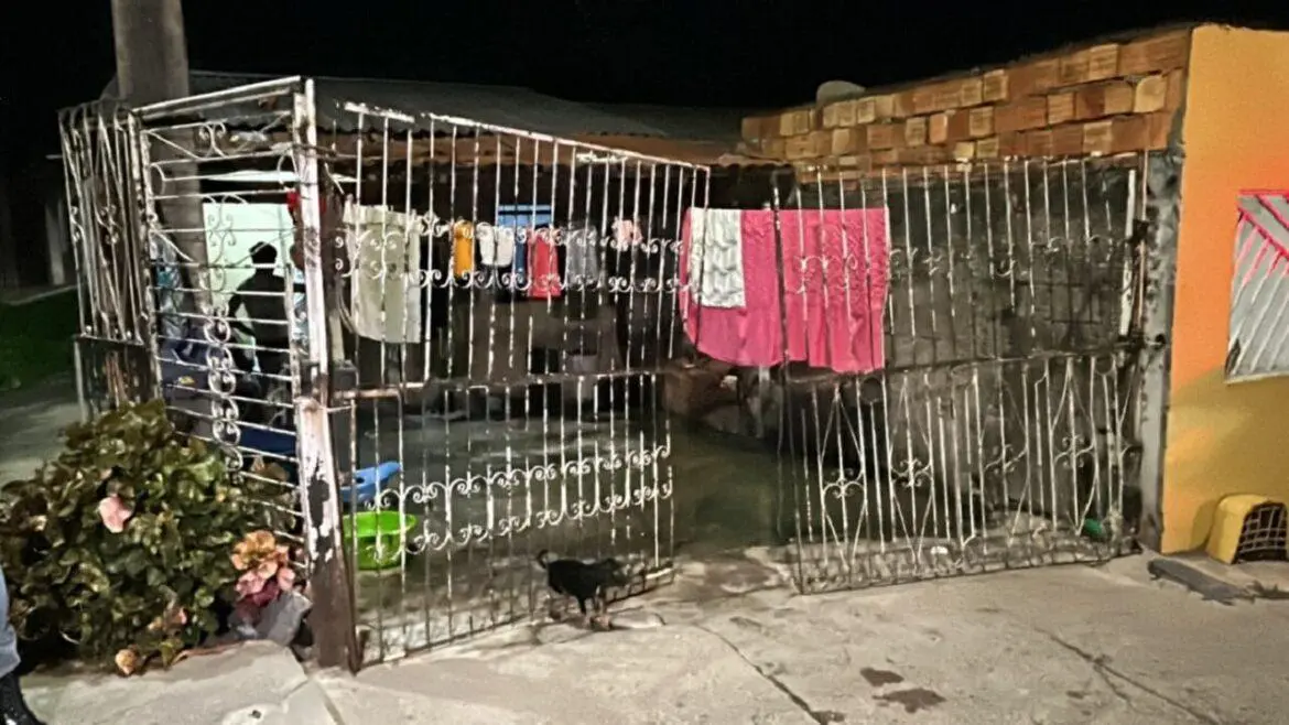 Jovem tenta correr mas é executado a tiros na frente da família em Manaus