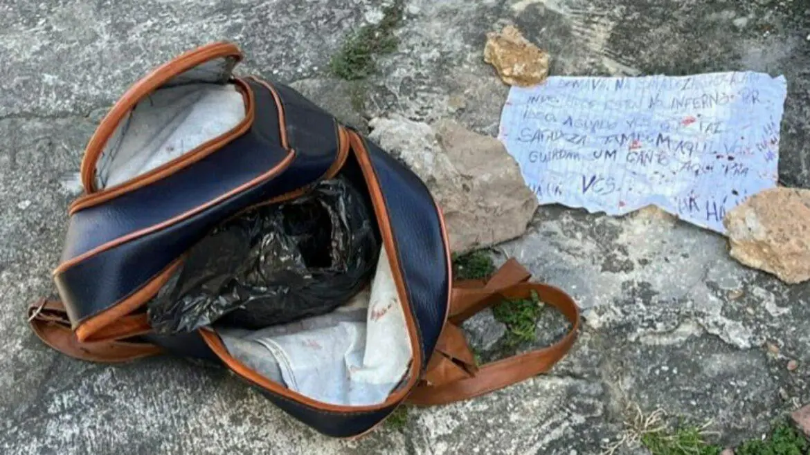 Cabeça humana é encontrada dentro de bolsa com bilhete