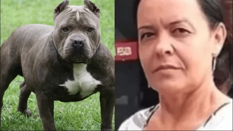 Mulher morre após ser atacada pelo próprio pit bull