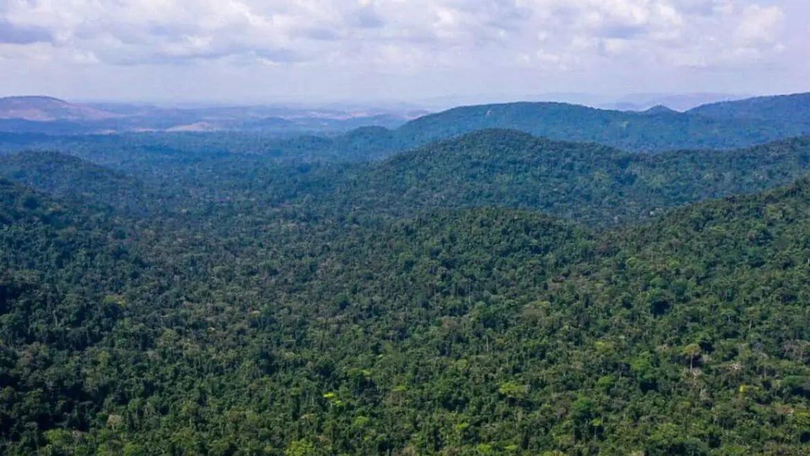 Obra mostra importância da Amazônia e de mais 4 florestas para o clima
