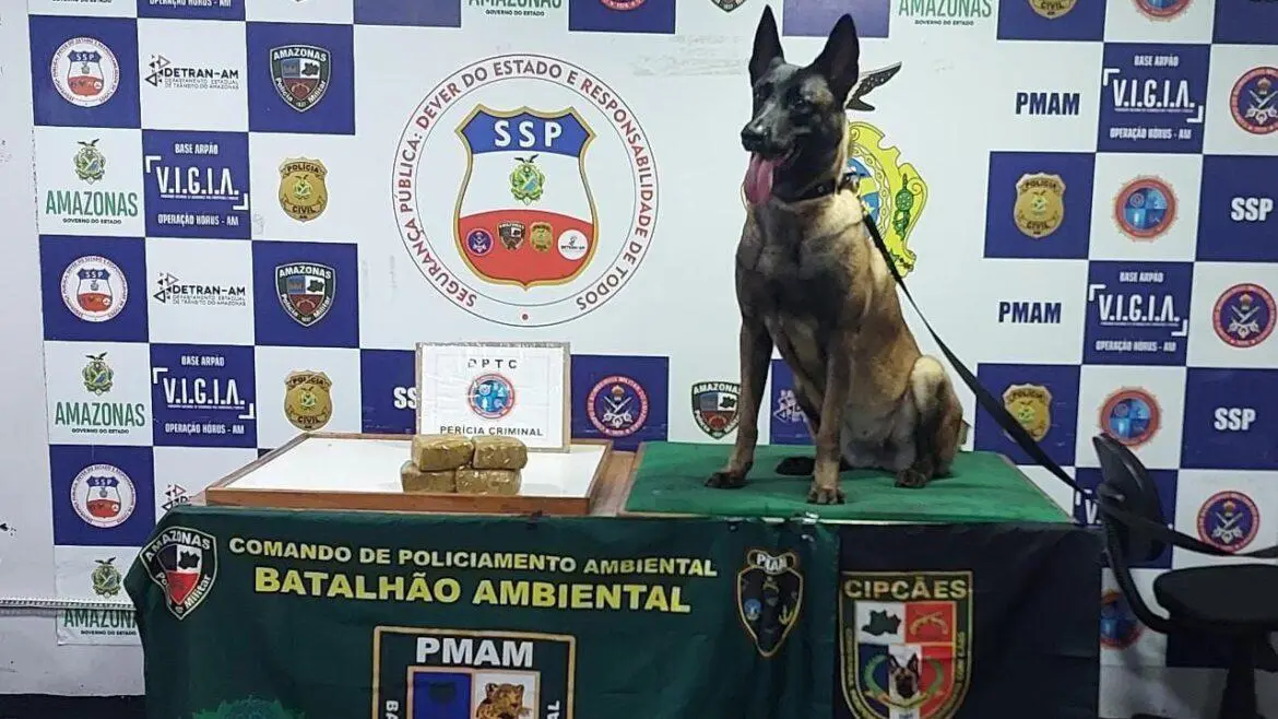 Tripulante e passageiro de barco são presos com cocaína avaliada em 62 mil