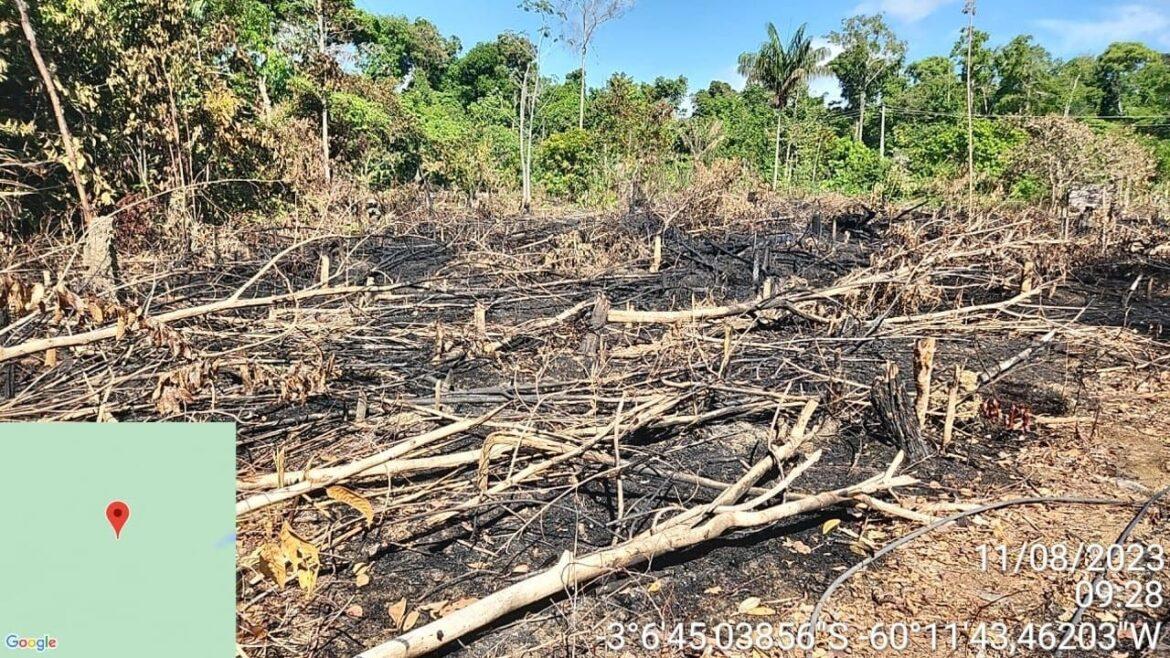 Polícia identifica áreas desmatadas na margem direita do Rio Negro