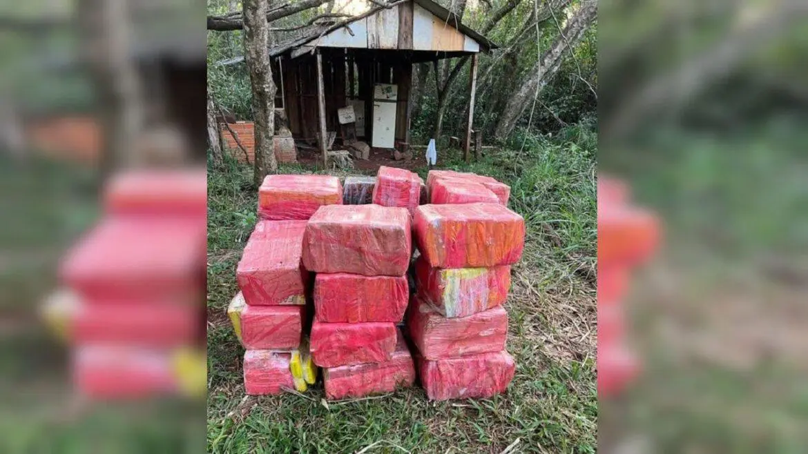 PF e Polícia Civil apreendem 600 kg e maconha