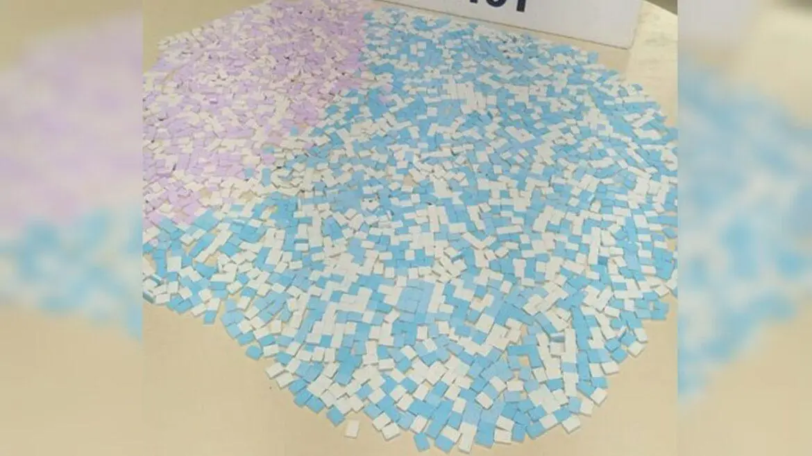 Passageira de ônibus é flagrada com milhares de comprimidos de ecstasy na bagagem