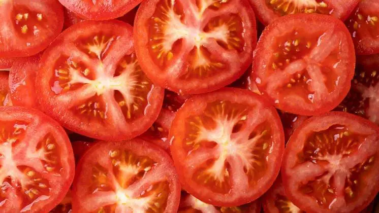 Tomate tem propriedades anticancerígenas, protege o coração e ajuda a dormir bem