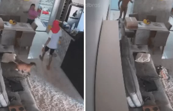 Mulher manda matar o marido, mas esquece de desligar as câmeras de segurança