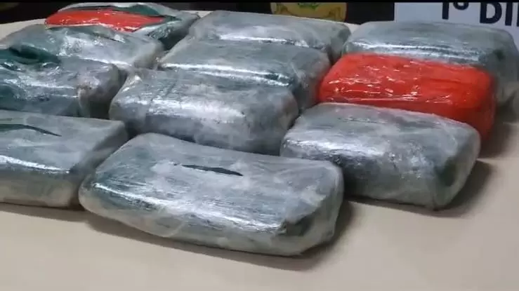 Polícia apreende caminhão com 15 quilos de maconha do tipo skunk que seriam transportados para o estado do Pará