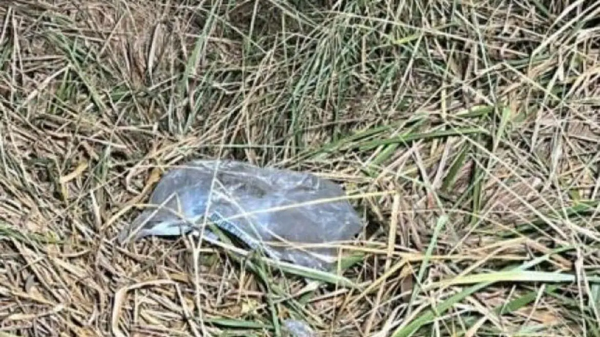 Corpo em estado de decomposição é encontrado em mata da Colônia Antôni Aleixo