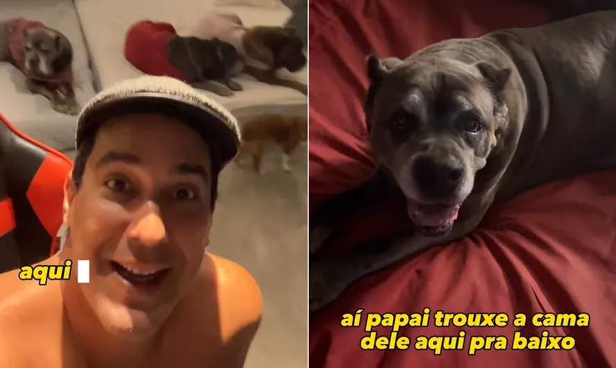 André Marques mostra adaptações que fez em casa por conta de cachorrinha idosa: 'Cama veio para o escritório'