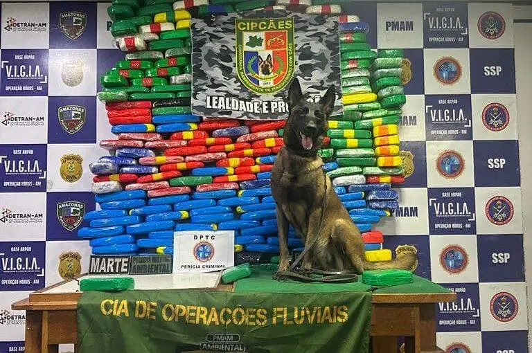 Homem é preso e 255 quilos de droga são apreendidos durante fiscalização a ferry boat na Base Fluvial Arpão, em Coari
