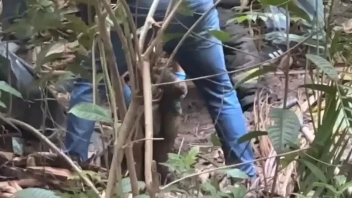 Homem é encontrado sem cabeça após amiga receber ligação do assassino