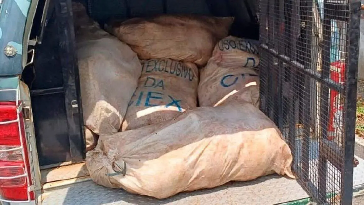 Polícia Ambiental prende homem com 680 kg de pescado ilegal
