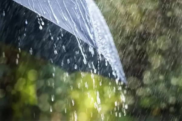 Prefeitura registra 14 ocorrências durante chuva desta terça-feira, (4)