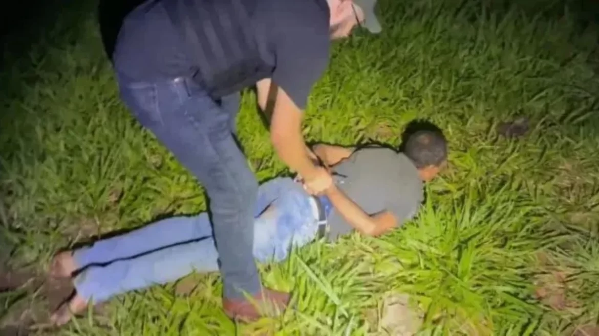 Homem ameaça esposa e mata animais de estimação após ela não responder a mensagens