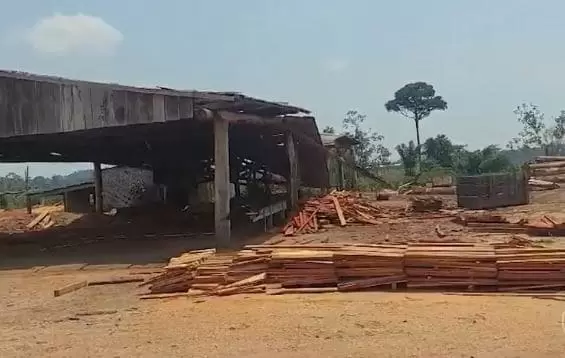 Ibama destrói 9 madeireiras clandestinas que retiravam madeira de terras indígenas no Amazonas