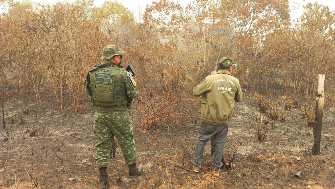 Medidas repressivas do Governo do Amazonas no combate a crimes ambientais resultam em ações de embargos, multas e infrações