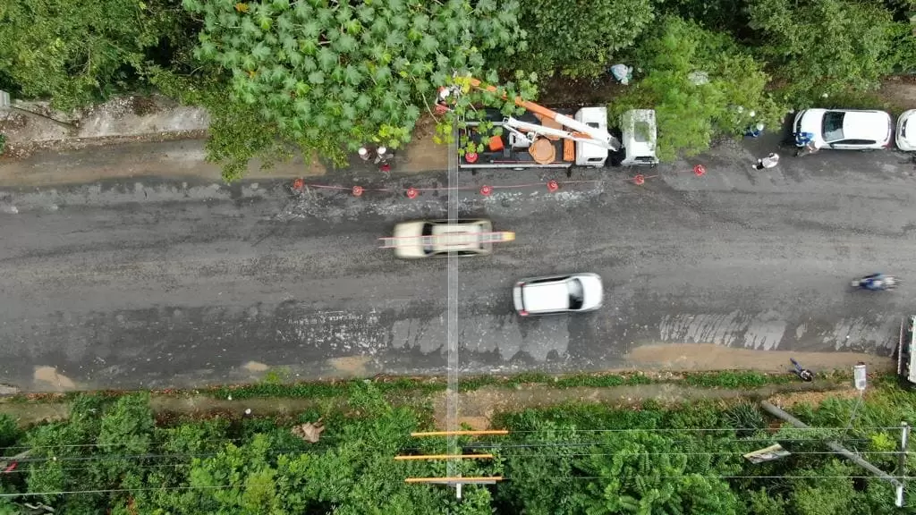 Amazonas Energia entrega mais duas passarelas para sauins-de-coleira