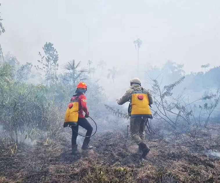 Aceiro 2023: Operação já combateu 2.074 incêndios no interior do estado