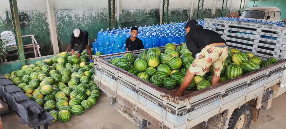 Amazonas celebra o Dia da Melancia com a produção de 12 milhões de frutos