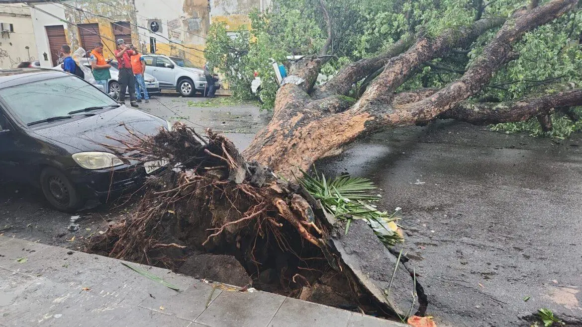 Prefeitura registra 8 ocorrências provocadas pela chuva nesta segunda-feira, (27)
