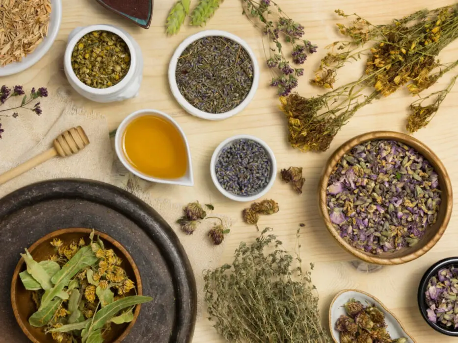 Widom lança curso online de fitoterapia e plantas medicinais