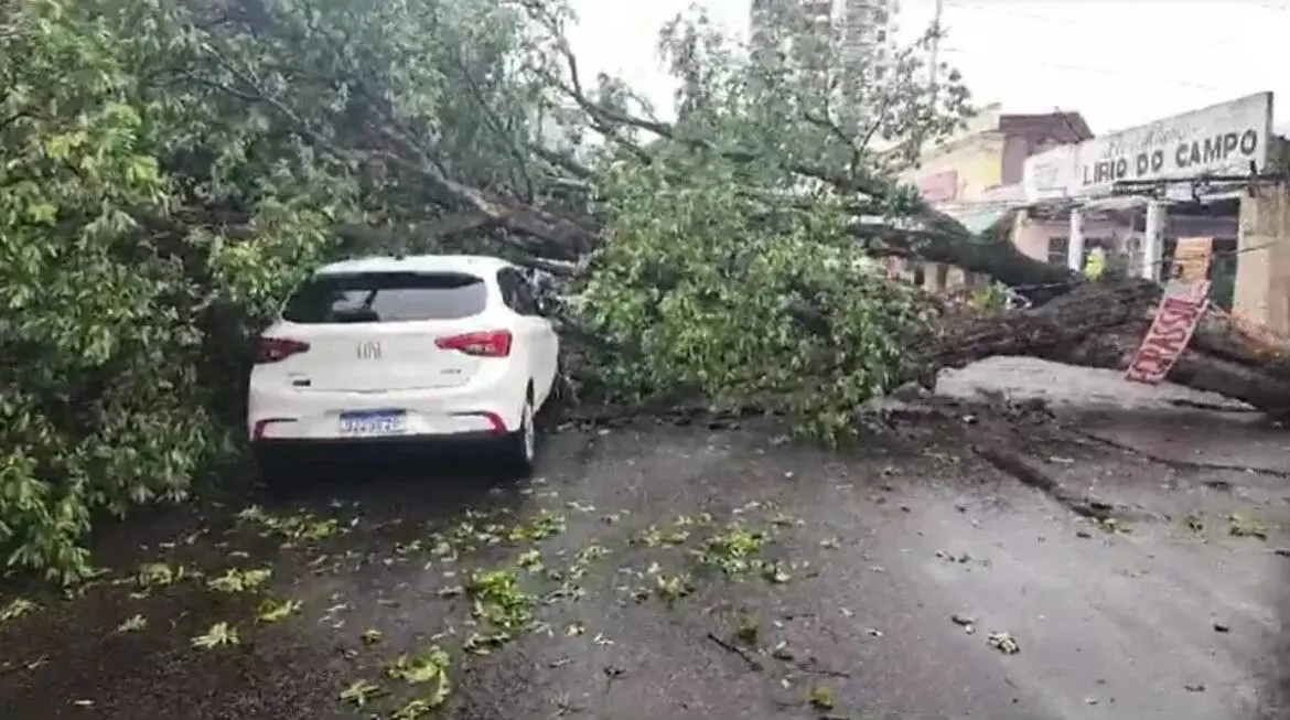 Prefeitura registra 6 ocorrências provocadas pela chuva neste sábado, (9)