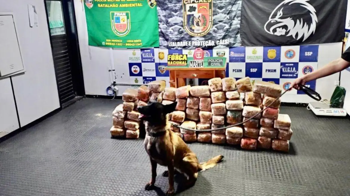 Policiais apreendem lancha com 265 quilos de maconha a bordo