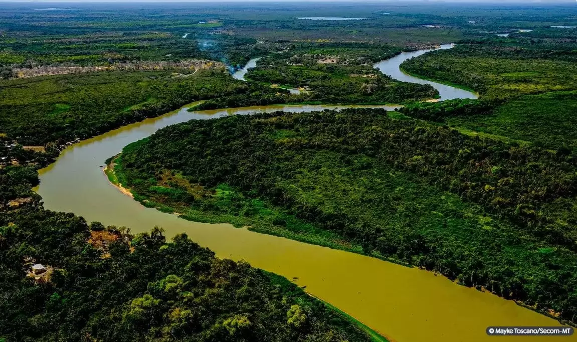 Lei do Pantanal é sancionada para garantir conservação do bioma
