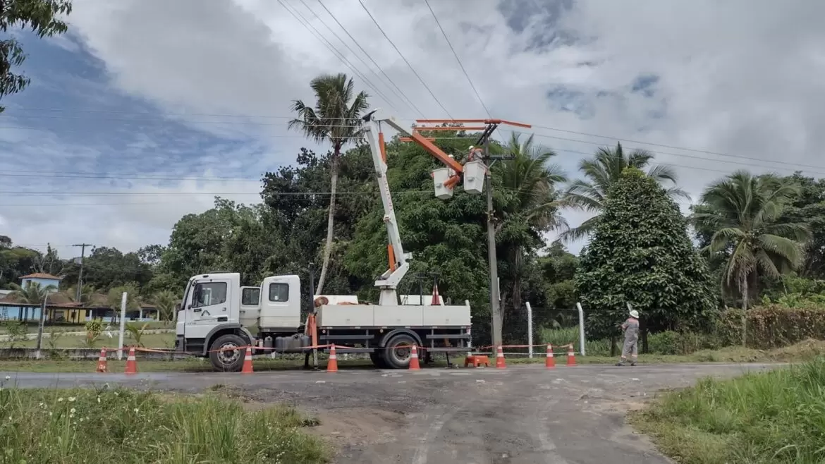 Árvores nas calçadas amenizam o calor, mas podem trazer riscos para a rede elétrica