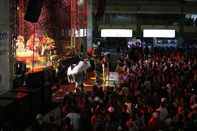 Boi Manaus 2023 gera mais de R$ 3 milhões para a economia e fortalece a cultura local