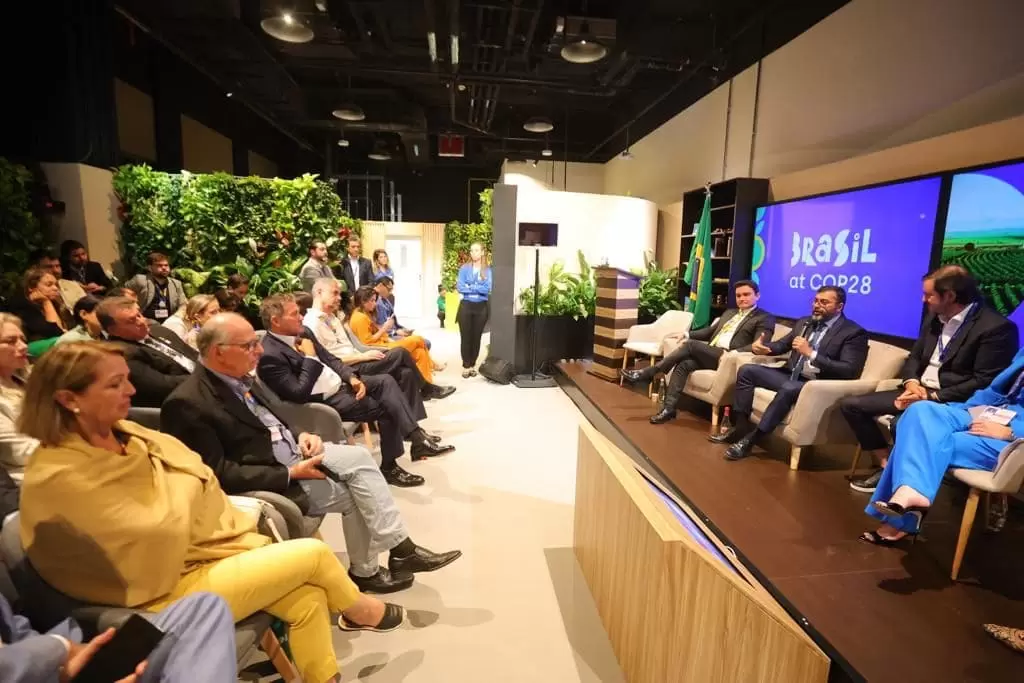 Balanço: Pioneirismo do Amazonas na agenda de REDD+ é destaque na COP 28