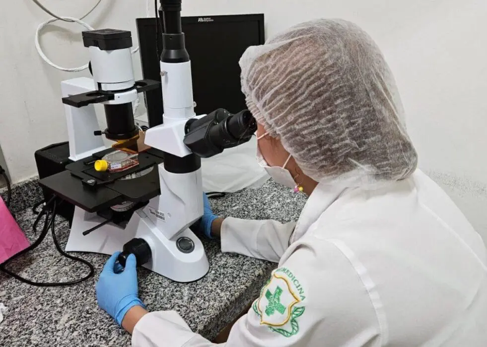 Estudo analisa bioativos naturais como alternativa mais eficaz e menos invasiva no tratamento do câncer