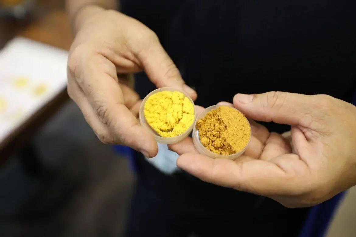 Resíduos de frutos amazônicos ricos em vitamina A servem de compostos para produção de corante natural