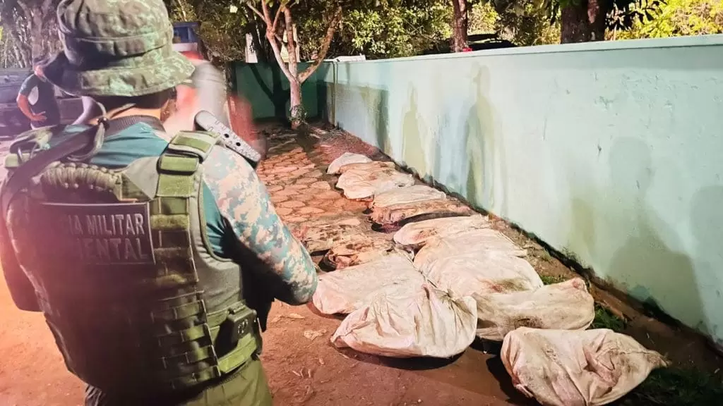 Policiais apreendem cerca de 194 quelônios em embarcação no AM