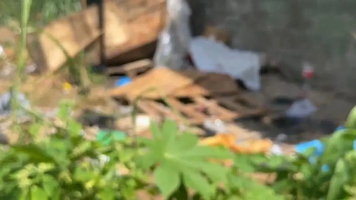 Jovem é morto a tiros em área de mata por não pagar dívidas de drogas