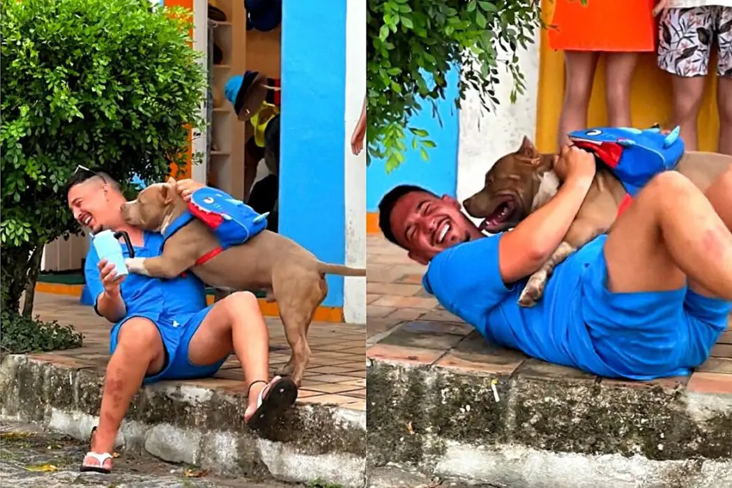 Homem tenta interagir com pit monster na rua e é surpreendido com muitas lambidas e carinho