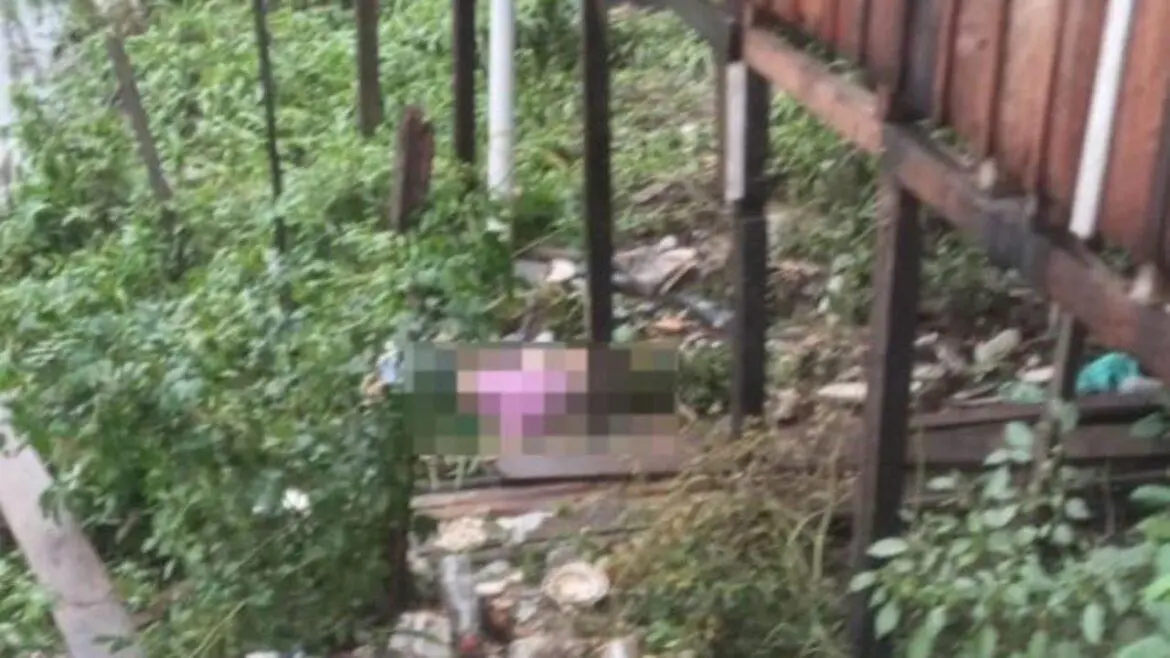 Mulher é encontrada morta debaixo de casa de palafitas no AM