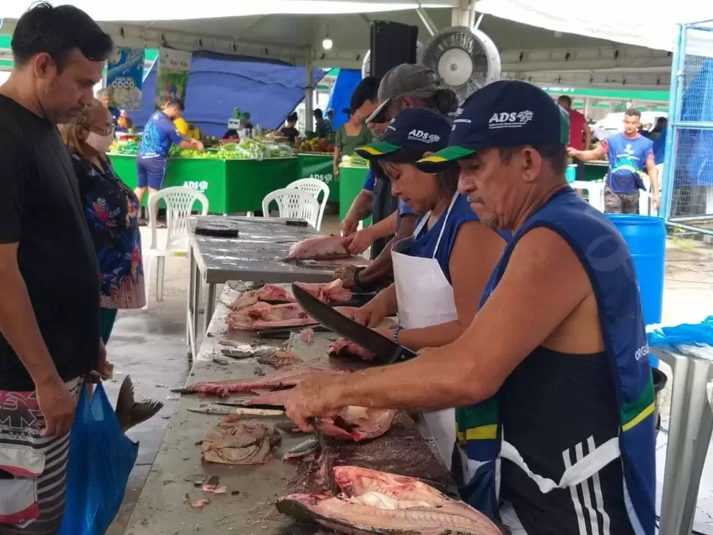 Semana Santa: saiba quais os cuidados na compra e consumo de pescados