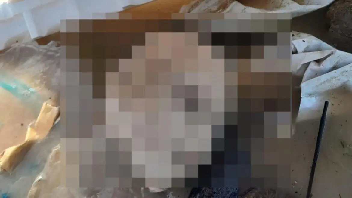 Após tronco humano, membros também aprecem boiando na Manaus Moderna