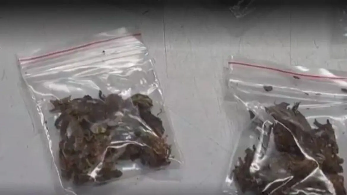 Vigia de escola municipal é preso por vender drogas para alunos