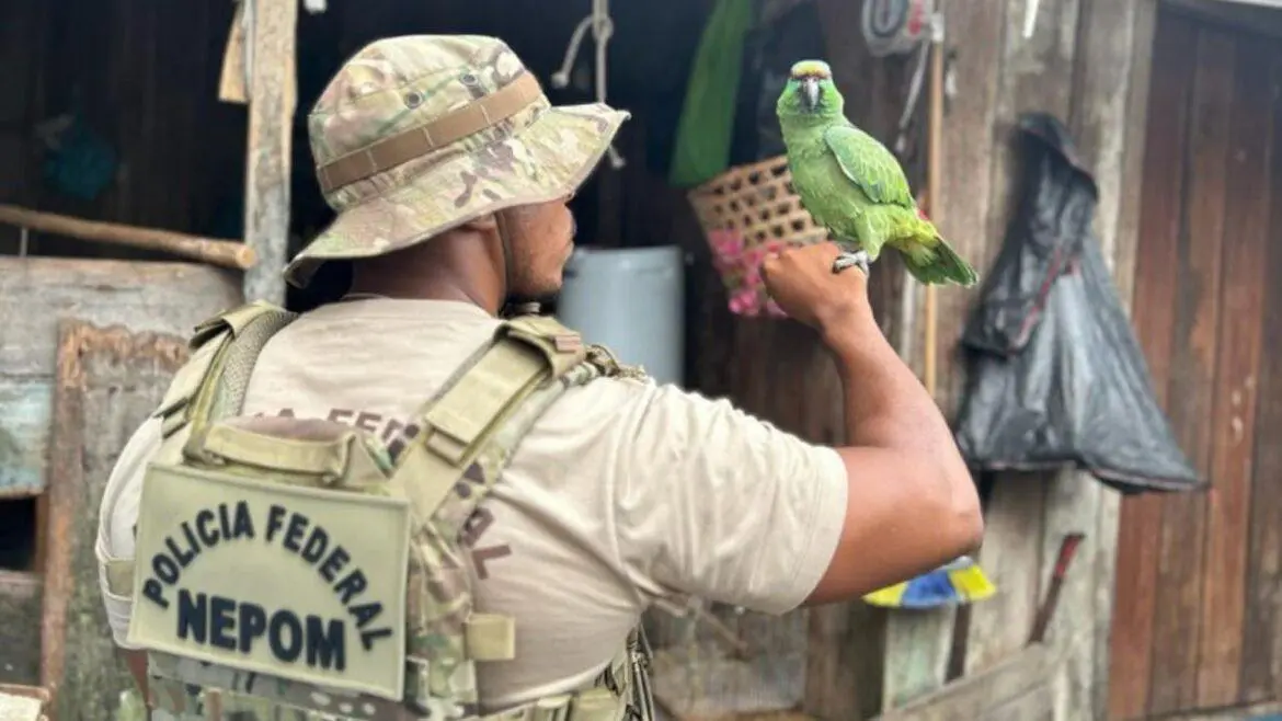 PF prende homem com pescado ilegal e animais silvestres abatidos