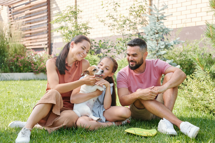 Proptech lança portal de imóveis com busca por pets
