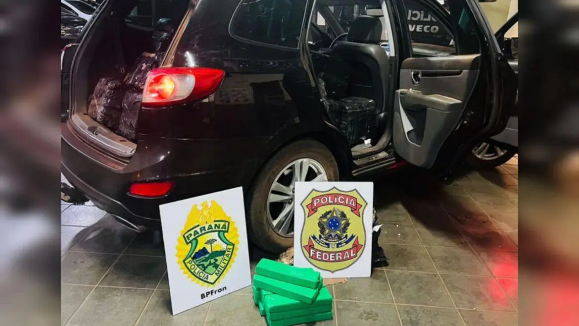PF apreende 416kg de maconha distante ação na fronteira