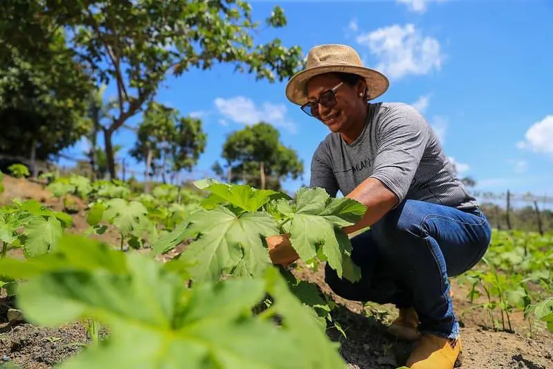 Dia do Trabalhador: No setor primário, produtora rural se destaca na agricultura familiar