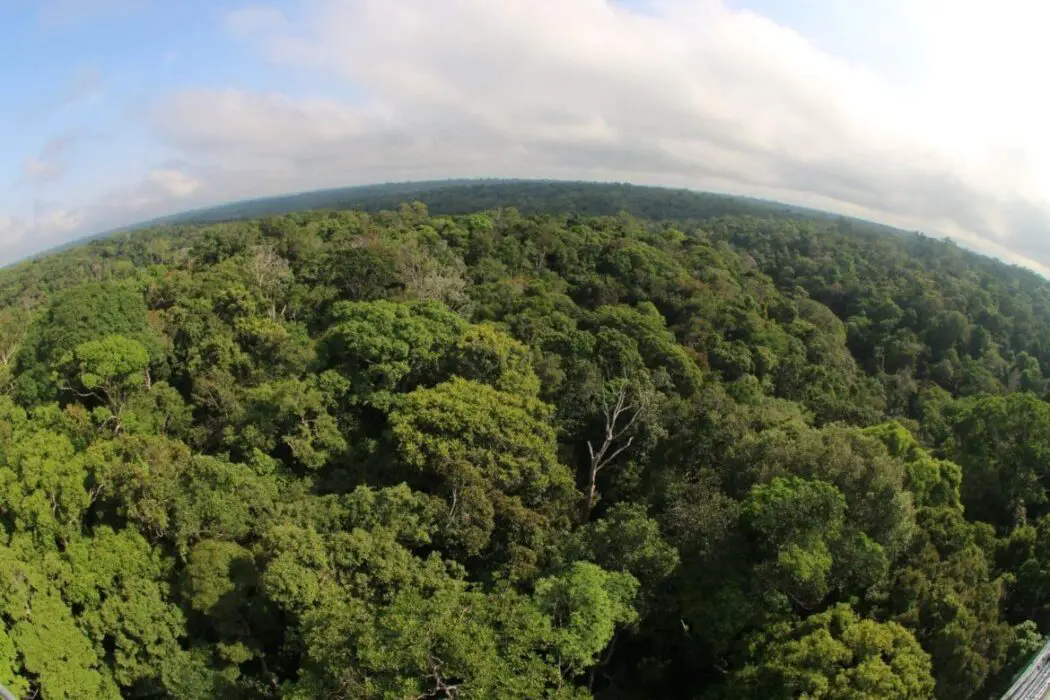 Memórias bioculturais e biodiversidades são destaques em evento nacional