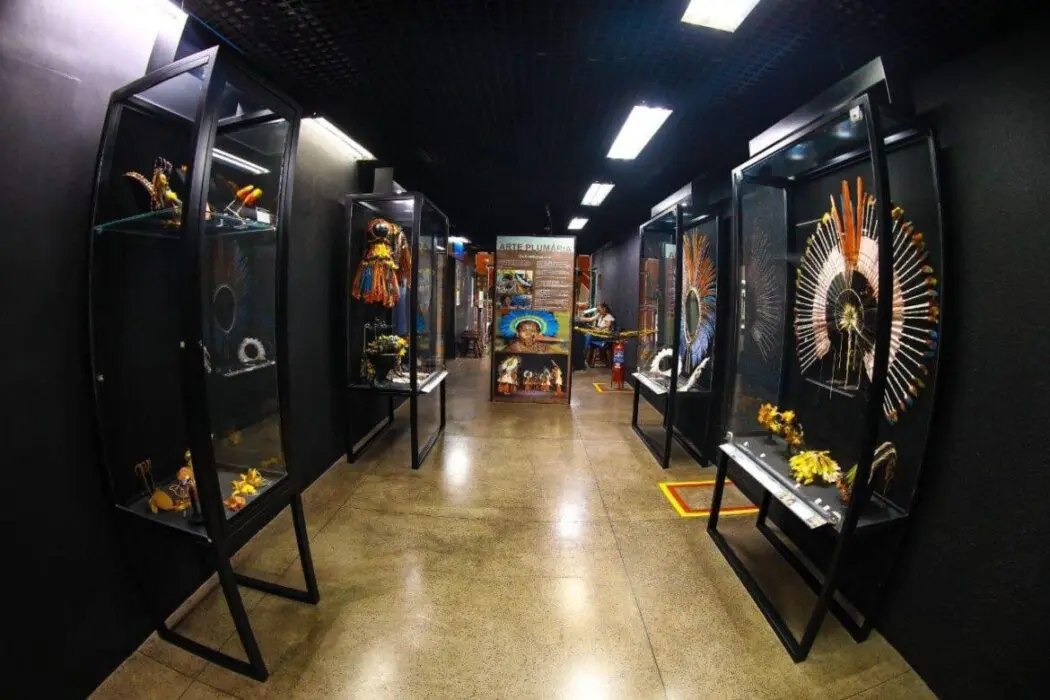 Semana Nacional do Museu destaca a interseção entre museus, educação e pesquisas
