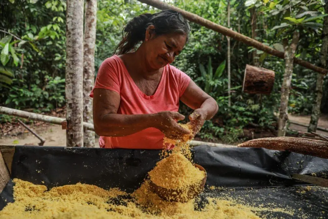 Espetáculo teatral, farinhada e ciclo da borracha integram a programação da 22º Semana dos Museus no Museu do Seringal