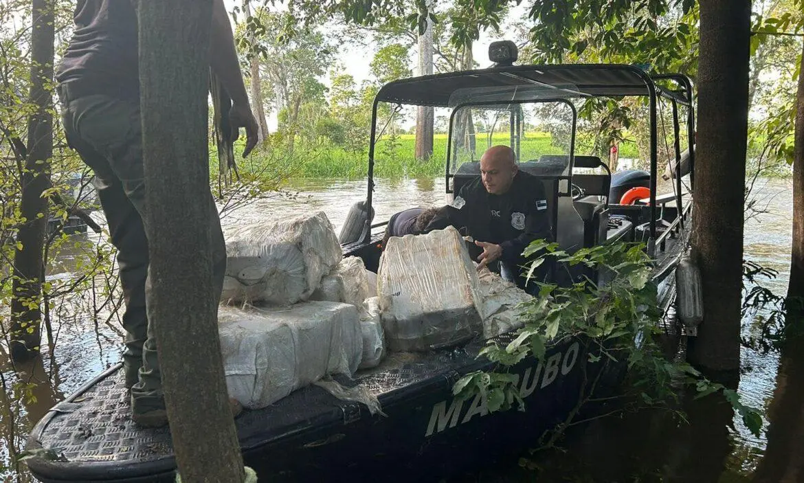 Ação conjunta das Polícia Civil e Militar apreende uma tonelada de maconha tipo skunk avaliada em R$ 20 milhões