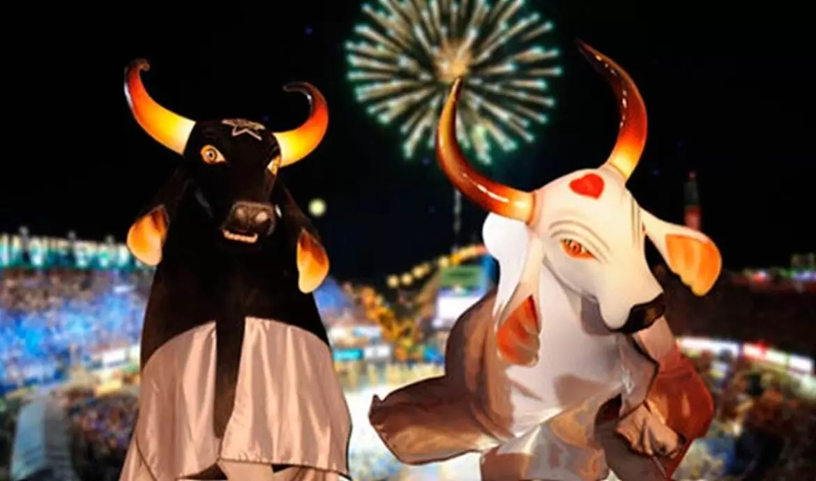 Festival de Parintins terá transmissão da Rede Globo e TV A Crítica após acordo com bois Caprichoso e Garantido