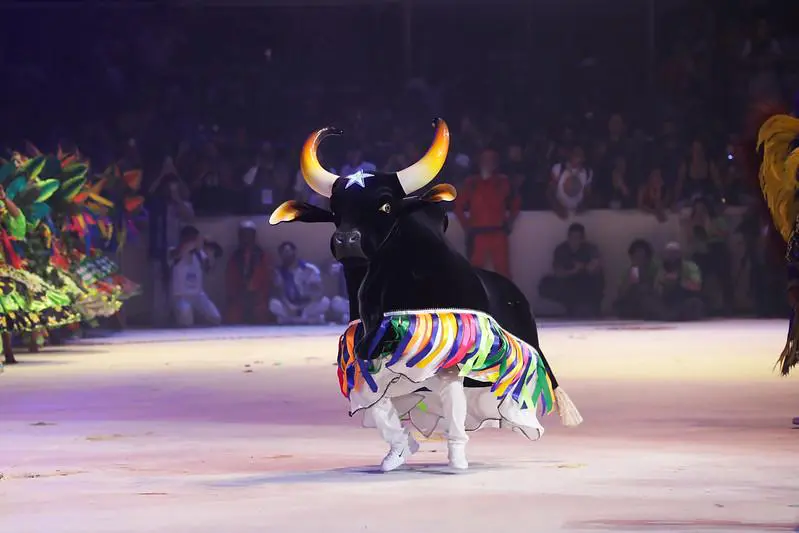 Festival de Parintins 2024: Boi Caprichoso abre primeira noite e empolga o público